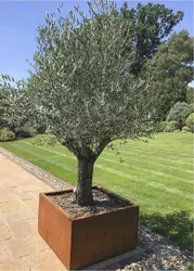 Corten_square_cms_6_formaglory-858x1200.jpg