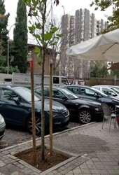 Foto - Calle Pío Baroja