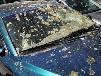 Coche afectado