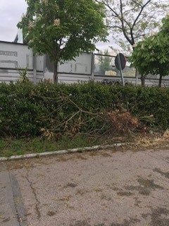 valla con falta de plantas y acera estrecha 