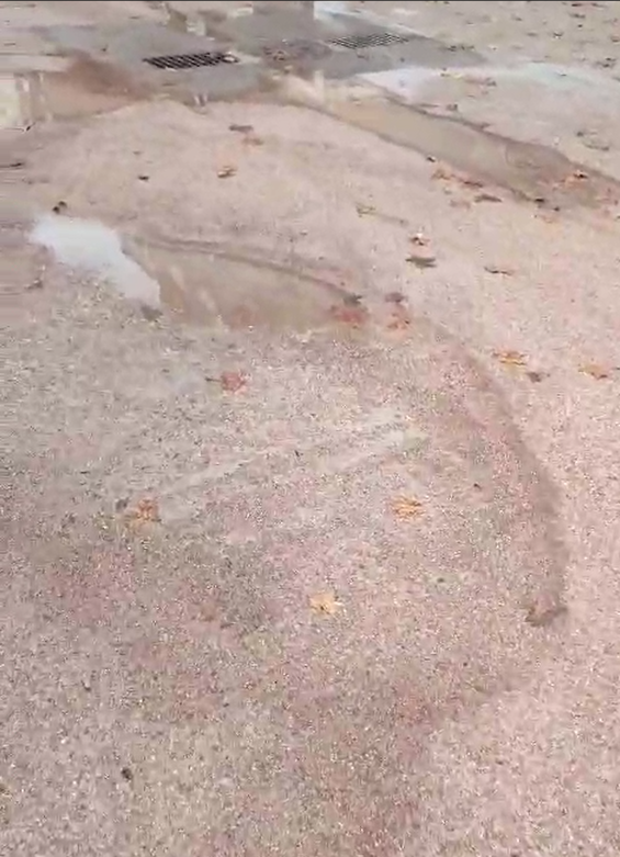 Pavimento acceso CEIP Perú