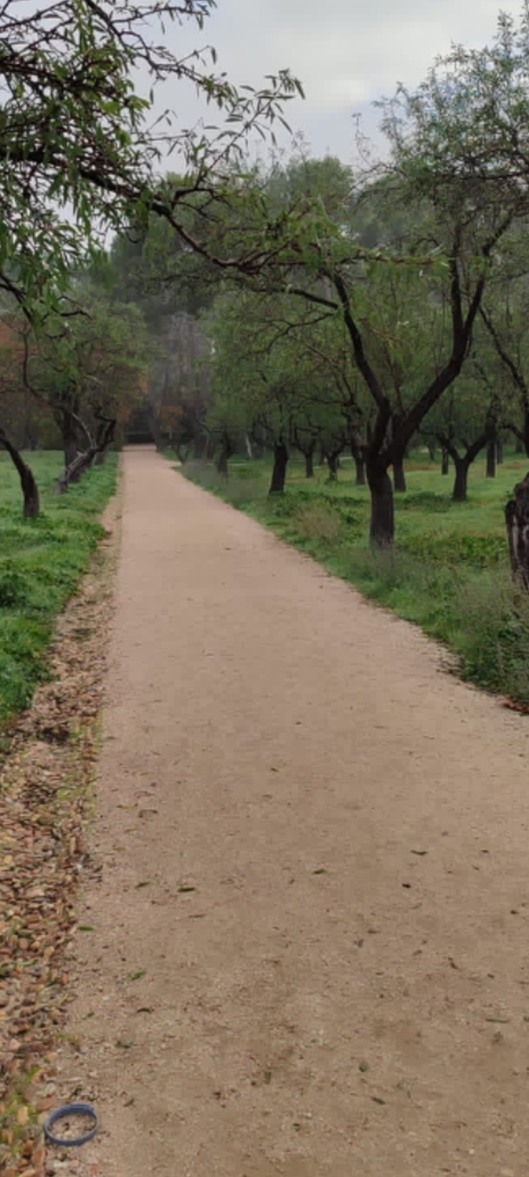 Camino Quinta de los Molinos