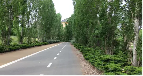 Madrid sigue apostando por el uso de la bicicleta