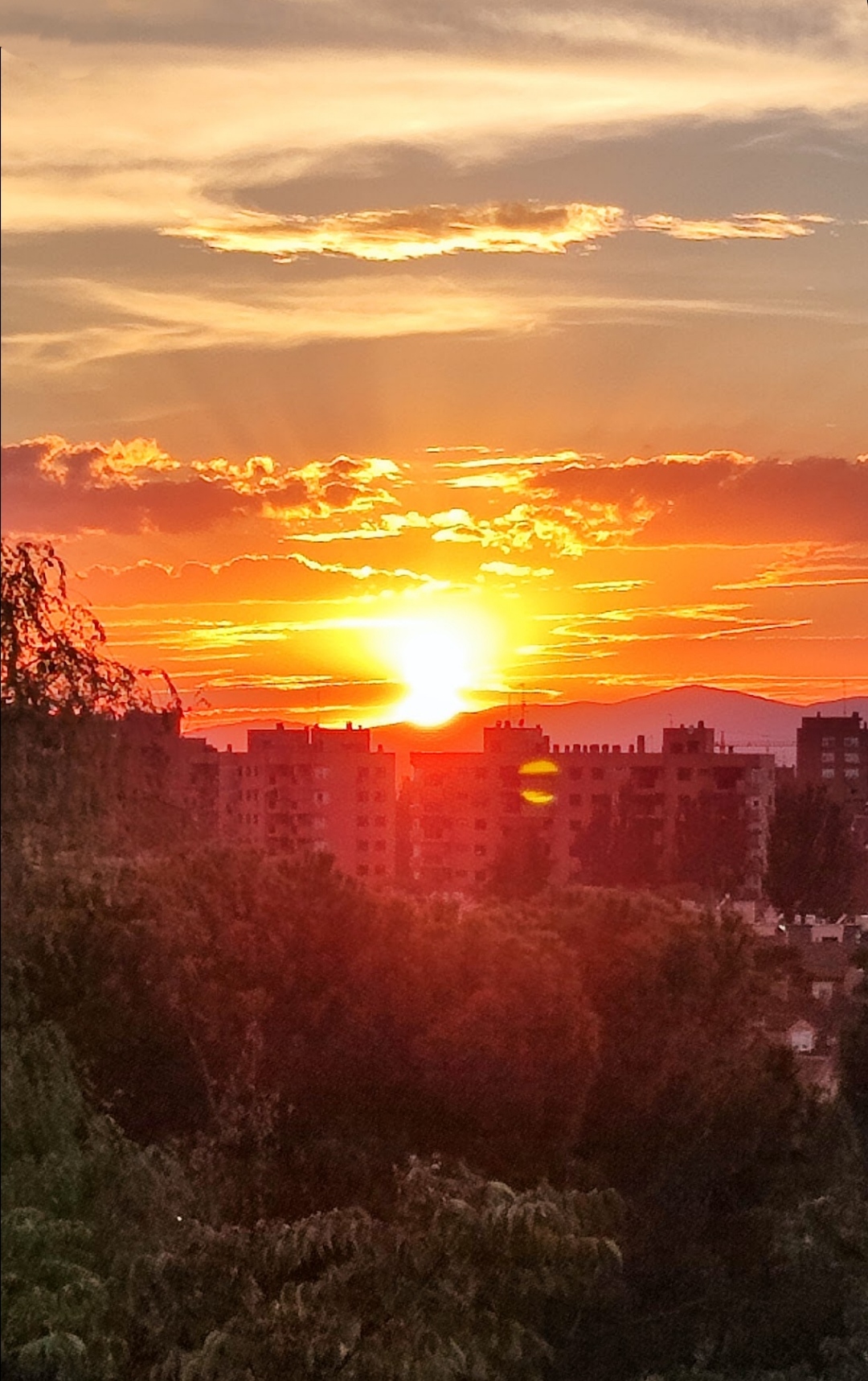 Zonas verdes, ajardinadas 