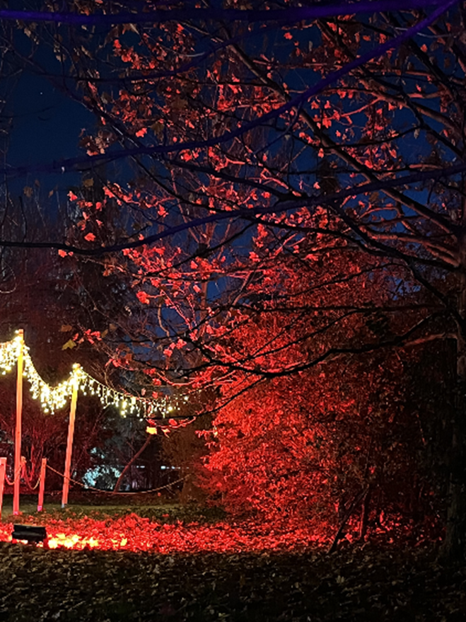 Iluminación Navidad