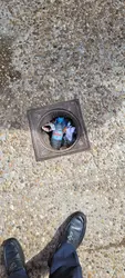 Estado de la zona