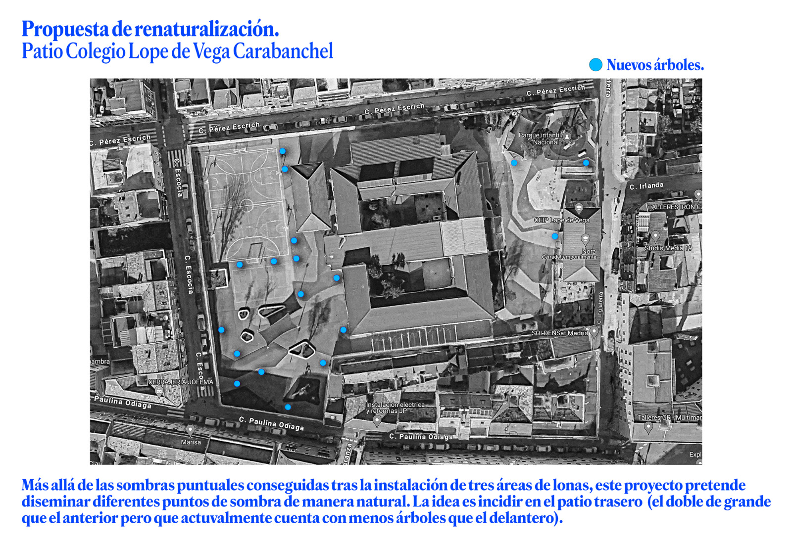 Propuesta con puntos en los que se sugiere que se podría plantar nuevo arbolado. La propuesta incide especialmente en el patio trasero, por ser mayor que el delantero y contar en la actualidad con menos arbolado