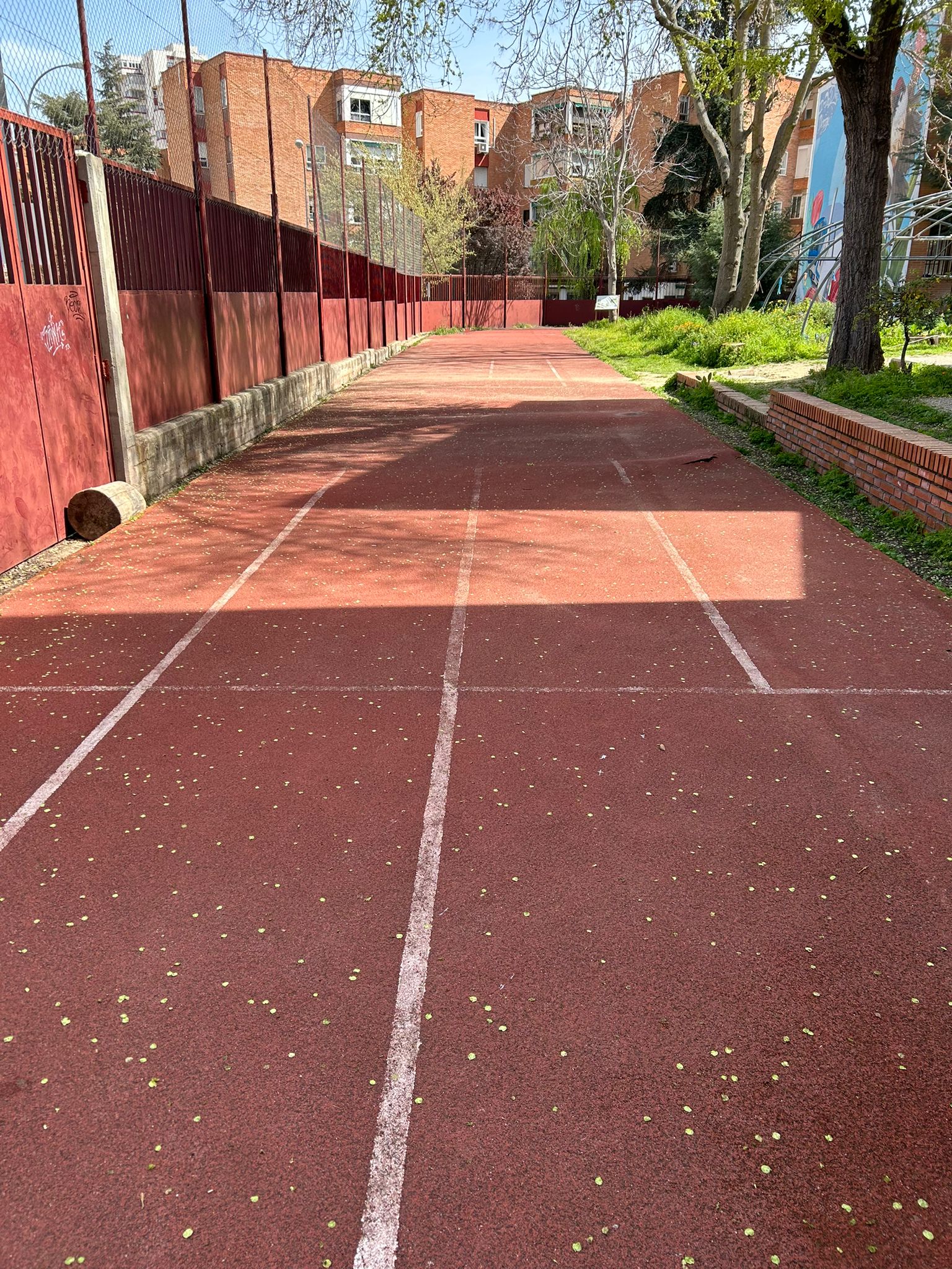 Imagen de algunos de los socavones y grietas que han inhabilitado la pista de atletismo para la práctica deportiva debido a que supone un riesgo de lesión.