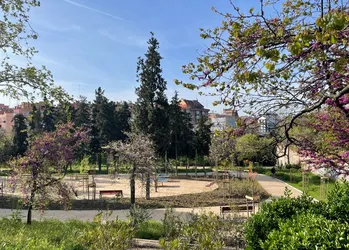 Foto_2.JPG