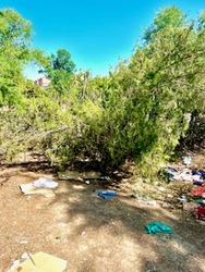 Suciedad y dejadez en todo el parque 