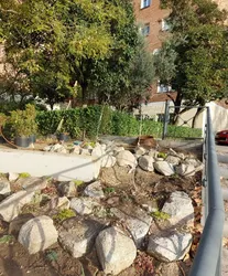 Rocalla.JPG
