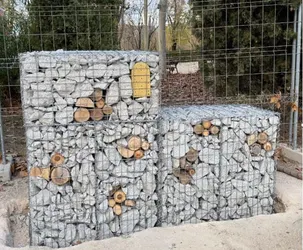 Muro_biodiversidad.JPG