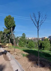 Foto_plantaciones.JPG