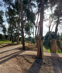 Foto_camino_terrizo-_en_ejecución.JPG