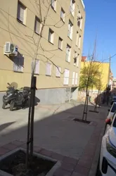 Foto_2.JPG