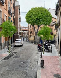 Imagen_1.jpg