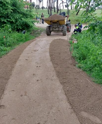 1.-Foto_caminos.jpg
