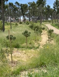 5.-Foto_plantación.jpg