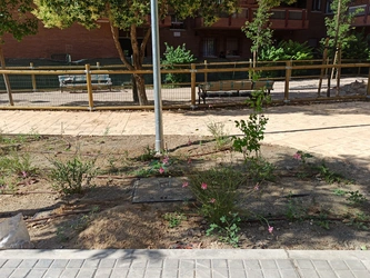 plantacion_sist_riego_pix.jpg