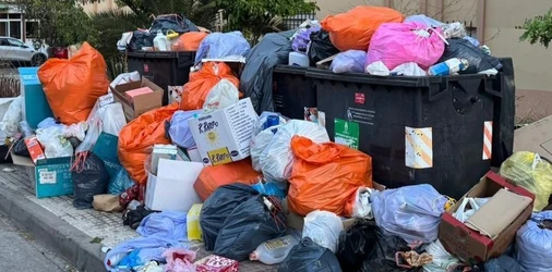 basura de los contenedores