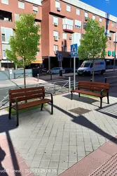 árboles y bancos en cruces