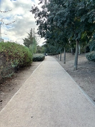 Zona verde rehabilitada