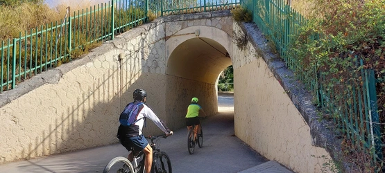 Acceso Puerto de la Cruz Verde