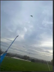Cometa volando en el parque juan carlos I