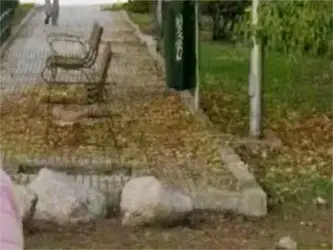 hay alcorques que no tienen arbol  y estan llenos de basura dentro