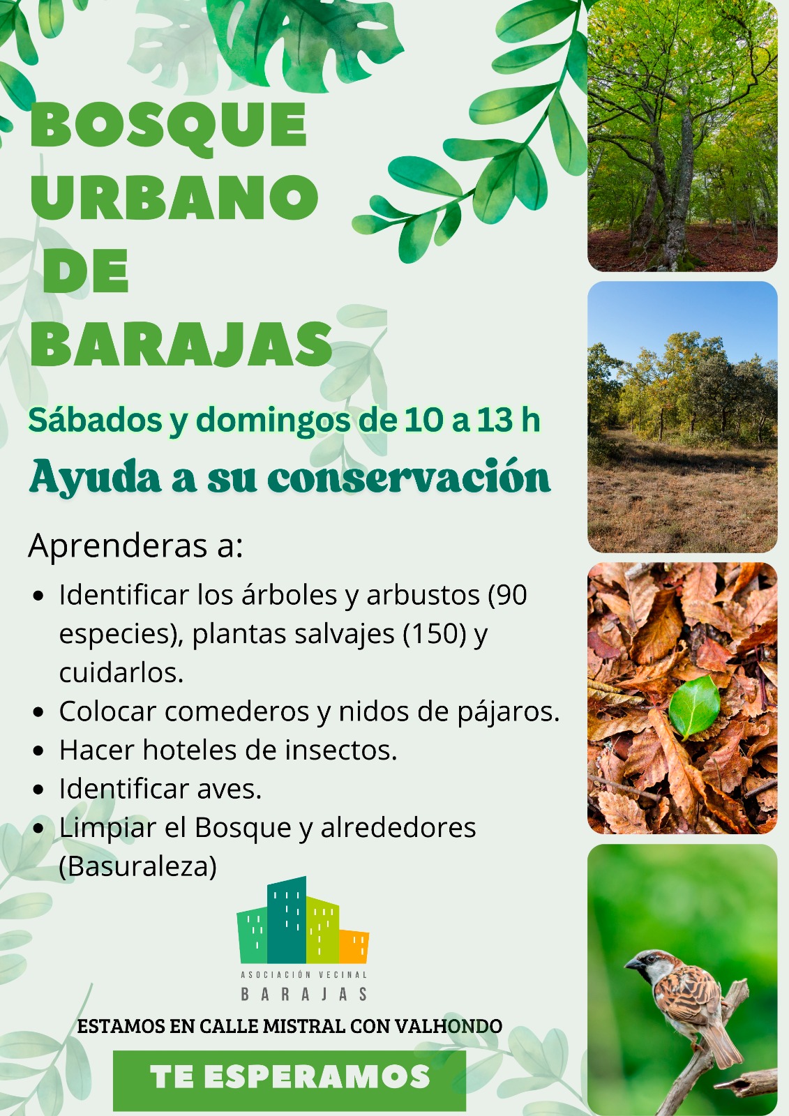 ACTIVIDADES QUE SE REALIZAN LOS FINES DE SEMANA