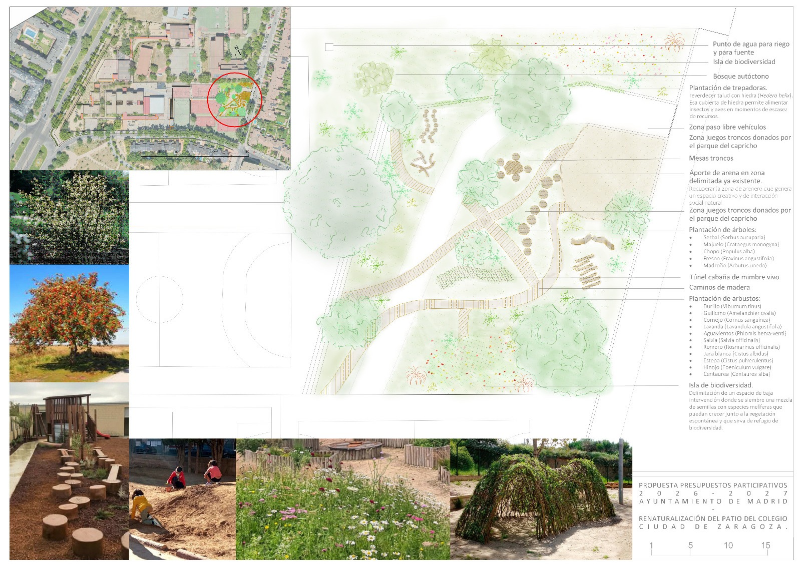 Propuesta de renaturalizacion del Patio del CEIP Ciudad de Zaragoza