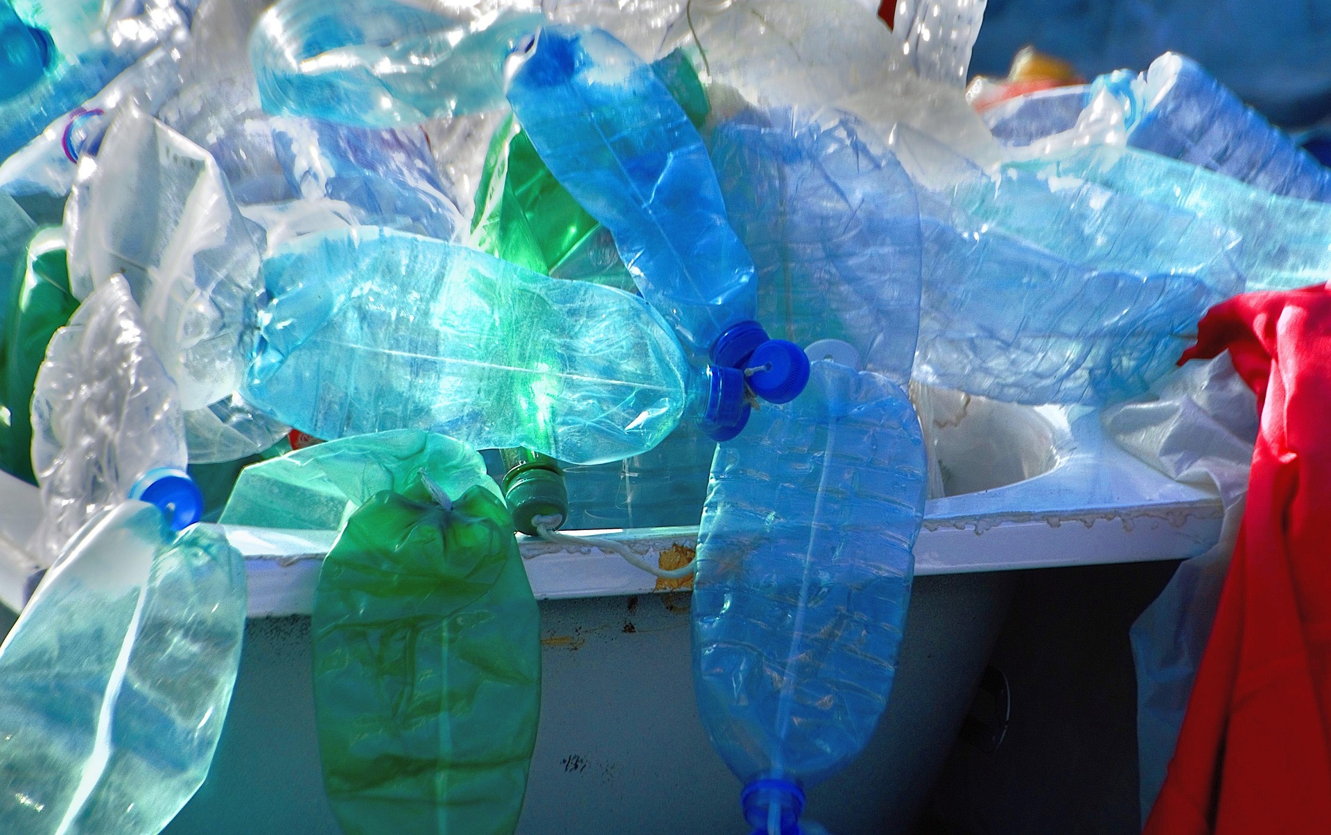 viviane6276-plastic-4597957_1920.jpg