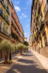Imagen de la calle del Olivar en Madrid con varios olivos integrados en el espacio urbano, aceras más verdes y un entorno peatonal más amable, como propuesta de renaturalización y recuperación de su identidad histórica.