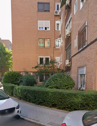 Césped y setos en zona interbloques