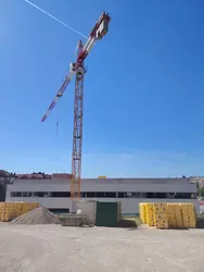 1000157624.jpg