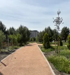 7_caminos_1.png