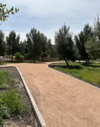 8_caminos_2.png