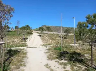 Imagen2.jpg