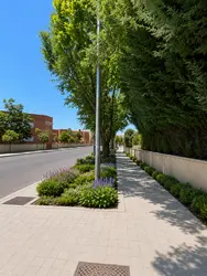 Numancia: Regeneración verde y limpieza en el Camino de Valderribas