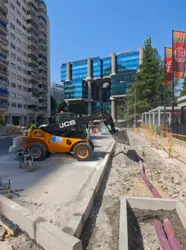 3_Condesa_de_Venadito_impares_(2).png
