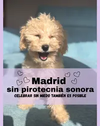 celebrar sin miedo también es posible