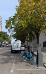 2 bicis inoperativas llevan más de 2 semanas en la estación. No hay nunca bicis por la mañana y ningún servicio de reubicación de bicis