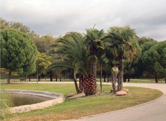 Parque y Lago